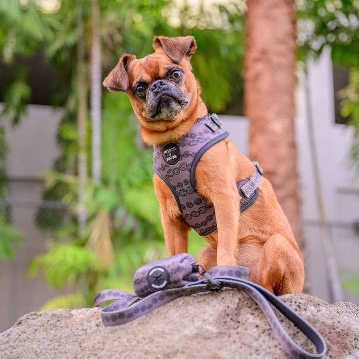 Ports and Paws - Wholesale Pet Leash - Dog - LEASH - KUKUI NUT LEI1