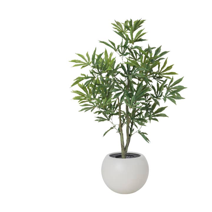 43.75" konstgjort cannabisträd i en vit fiskskålskruka för wholesale av Vintage Home