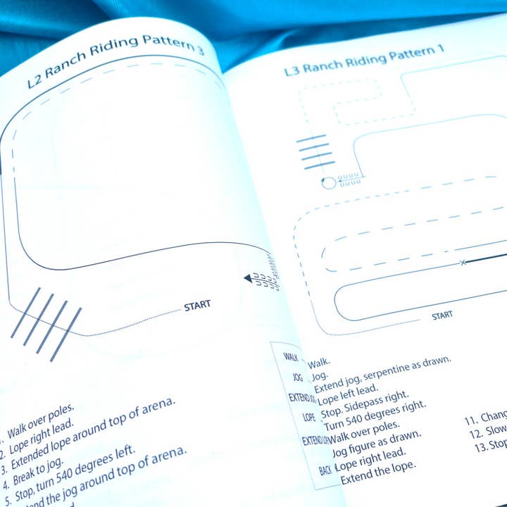 Circus Unicorn Shop - Wholesale Sports & Recreation Book - Western Riding Lessons & Activities12