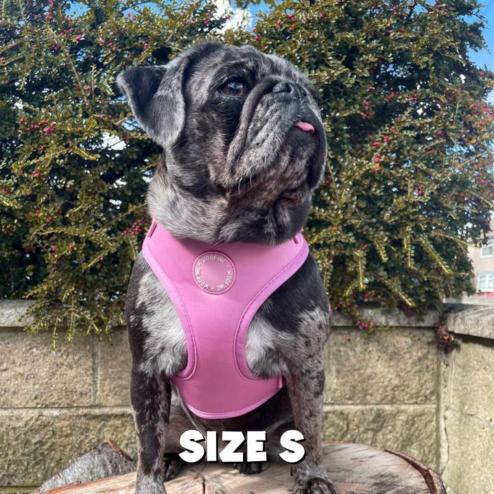 WOOF INC - Wholesale Pet Harness - Dog - Dusty Pink Adjustable Dog Harness8