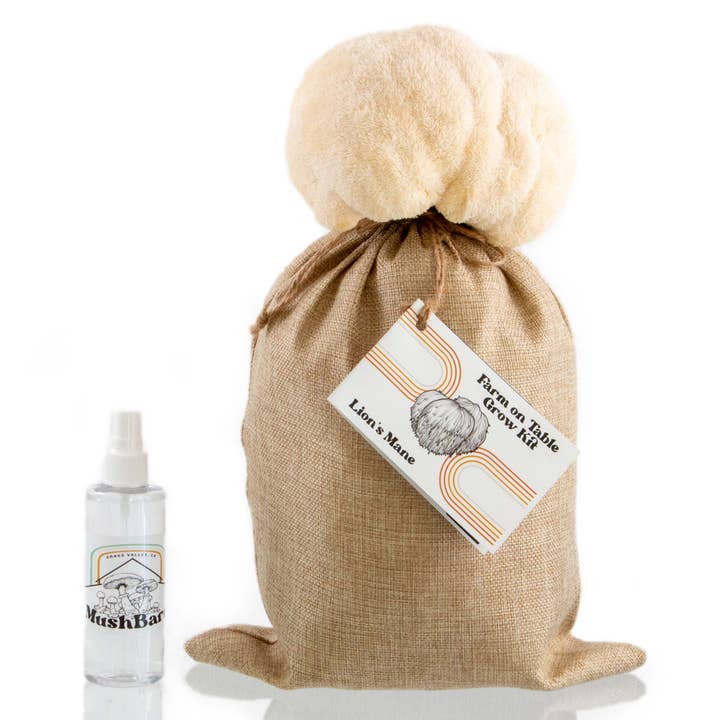 Mushroom Grow Kit - Lion's Mane "Farm ON Table" for wholesale by MushBarn