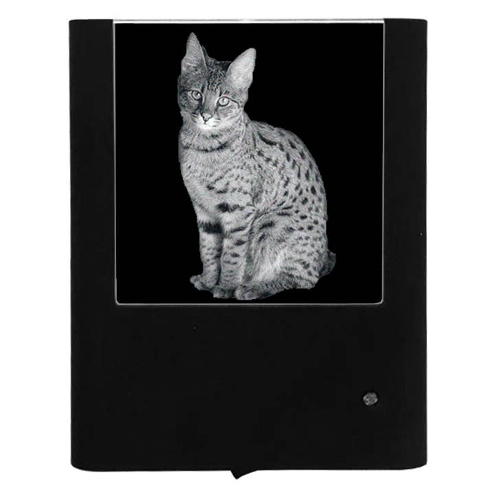 Gato Savannah Gravado por atacado de Nightlight Studio