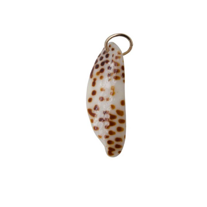 Cowrie Seashell Charm No. 01 for wholesale by ROOTSSEA
