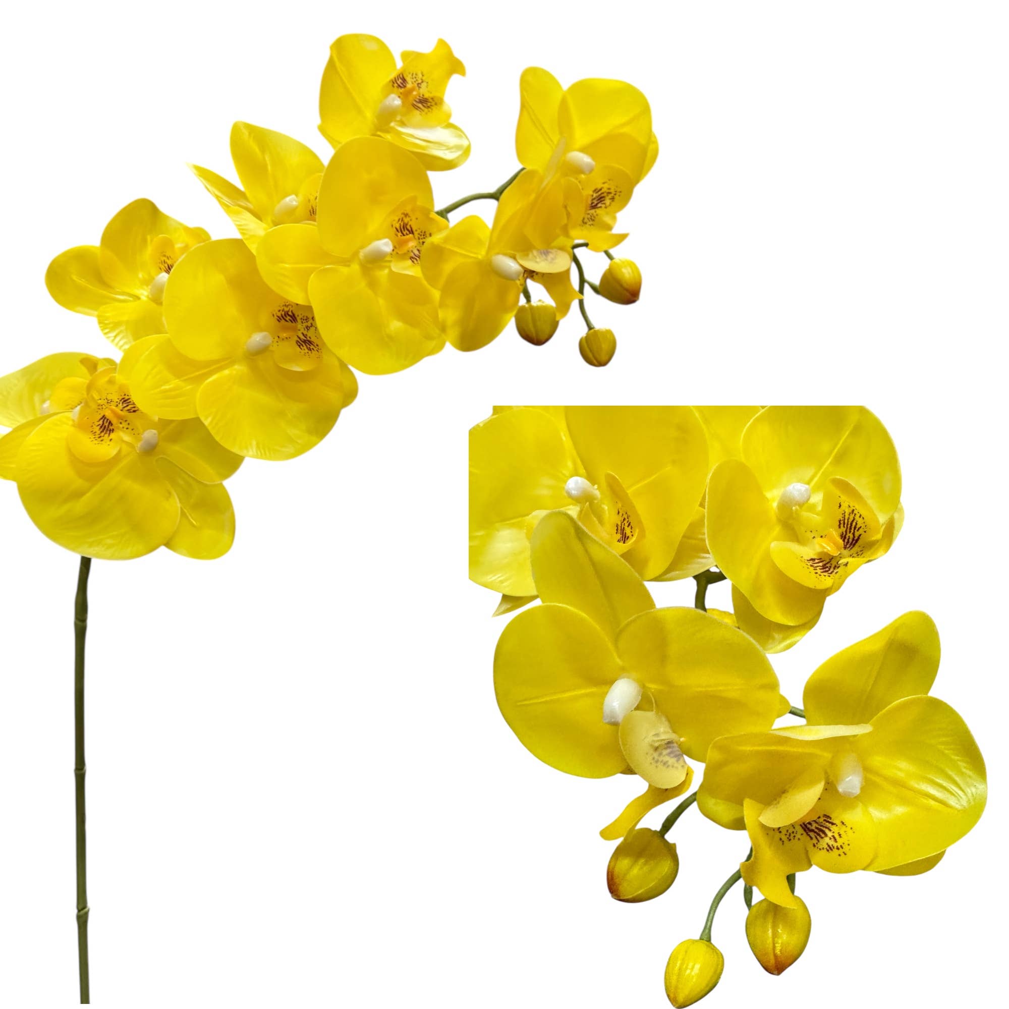 Angel Isabella – wholesale Artificial flowers – BULK-Real touch large orchids-pack of 48 stems($5.5/each)5
