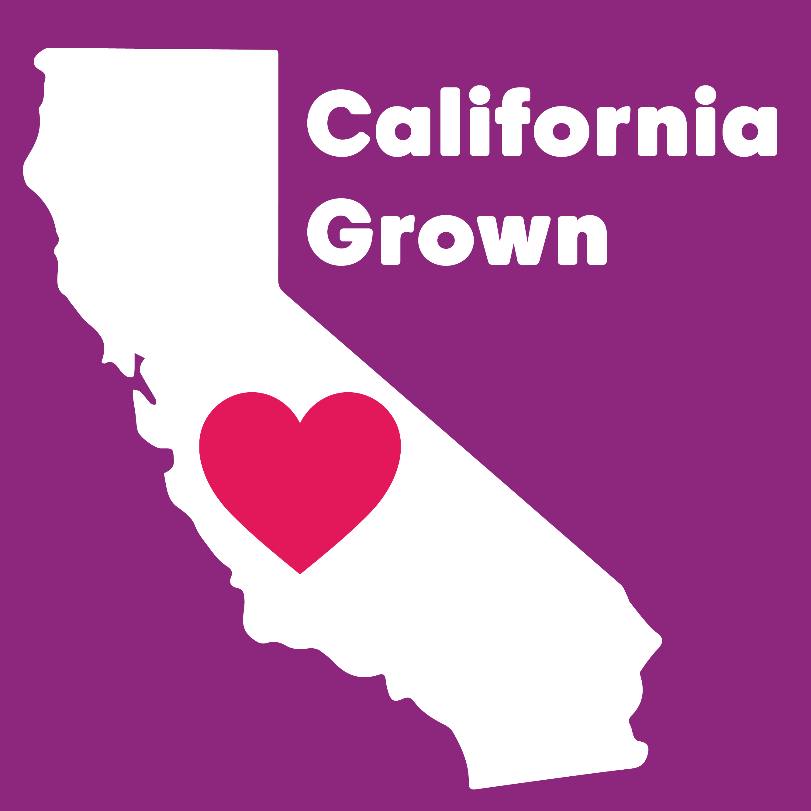 Wilderness Poets - Wholesale Nut Butter - Organic Pistachio Butter5