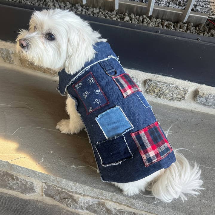 Veste Ralph pour la vente par Heads or Tails Pup