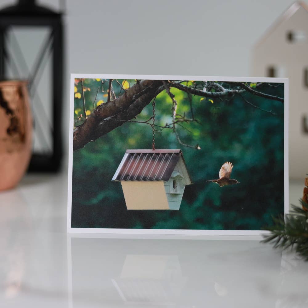 New England Prints - Wholesale Stationery/Notecard Set - Box of 5 All Occasion Majestic Bird Blank Note Cards9