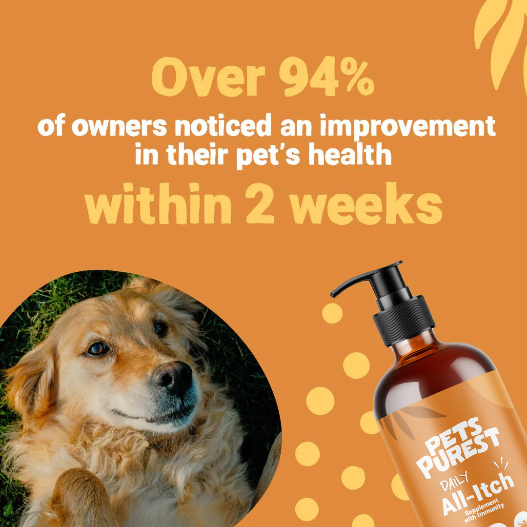 Pets Purest – wholesale Pet supplement – Cat/dog – Daily All-Itch Supplement 300ml1