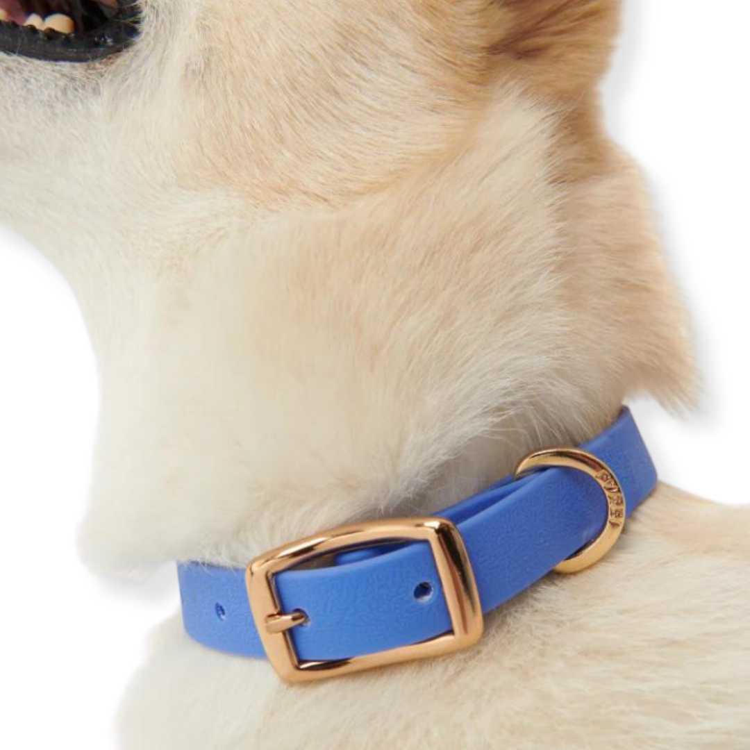 Furei Pets - Wholesale Pet Collar - Dog - Collar15