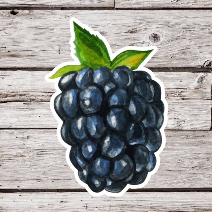 NatureCuts - Wholesale Sticker - Blackberry Sticker, Berry Sticker, Fruit Sticker0