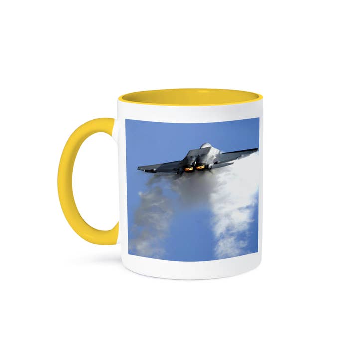 3dRose - Wholesale Coffee Mug - 3dRose, US Raptor Plane, Mug