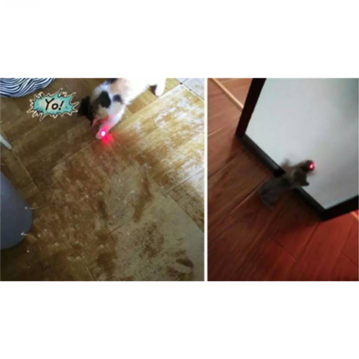 Tsyware - Wholesale Pet Toy - Cat - Assorted Laser Pointer Cat Toys for Indoor Pet Kitten Dogs 1