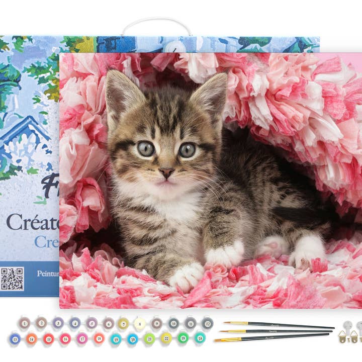 Pintar por números Gato lindo enmarcado para venta al por mayor de Figured'Art