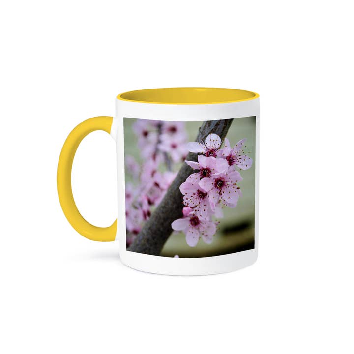 3dRose - Wholesale Coffee Mug - 3dRose, Pretty Spring Floral- Cherry Blossom Flowers- Photography, Mug