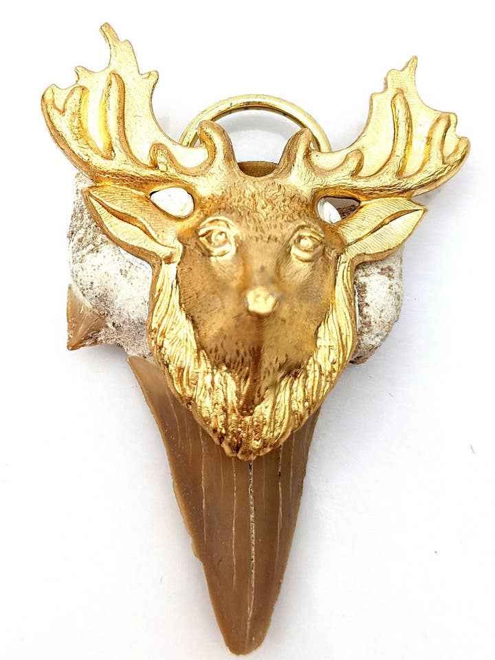 Collier unisexe en laiton avec pendentif en forme de fossile en forme de dent 3D pour la vente par Gay Isber Designs