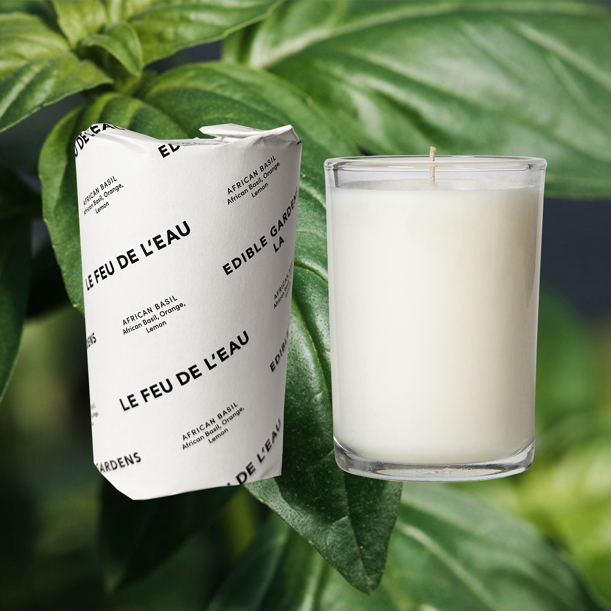 Le Feu De L'eau - Wholesale Pot/gevulde kaars - Afrikaanse basilicum - 8 oz1