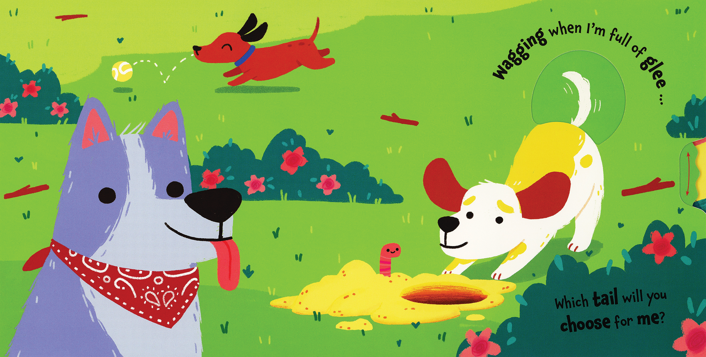 EDC Publishing - Wholesale Baby & Toddler Book (0-2) - Which Tail?3