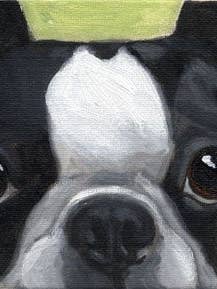 Regalo de Boston terrier, arte de Boston terrier, regalo de arte para perros, perro para venta al por mayor de Brian Rubenacker studios