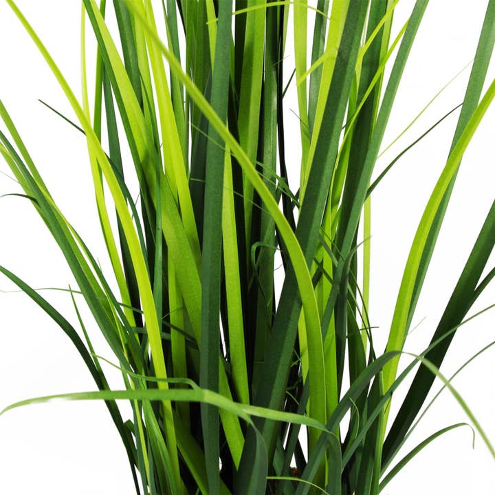 Leaf Design UK LTD - Venta al por mayor Plantas artificiales - Planta de césped artificial, follaje, planta de limoncillo, plantas de 60 cm