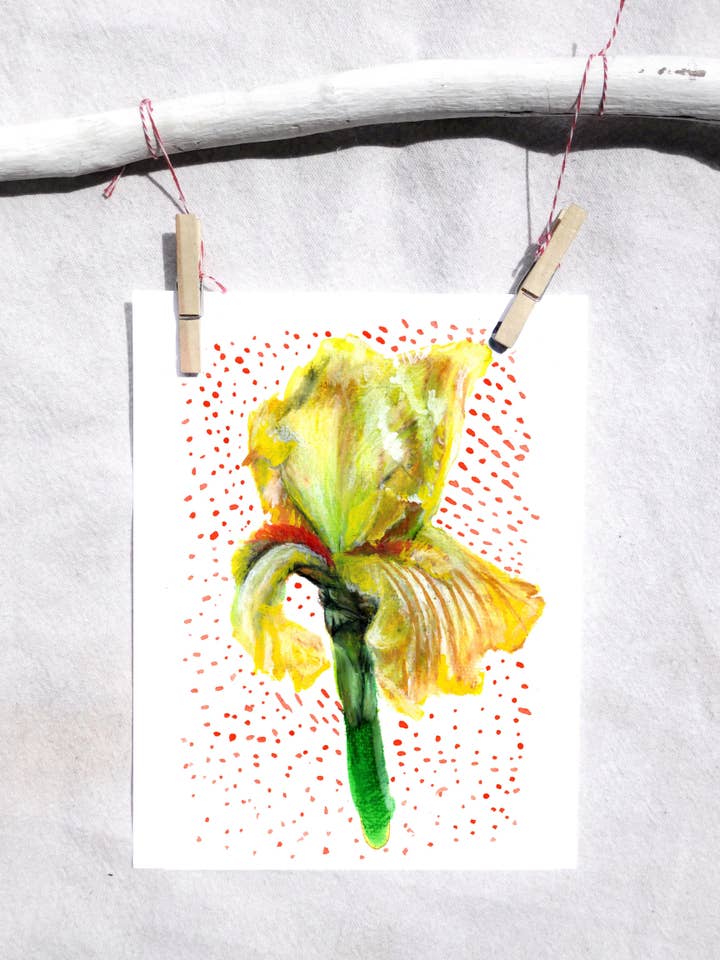 Bloemen gele iris art print voor wholesale door Lindsey Munson