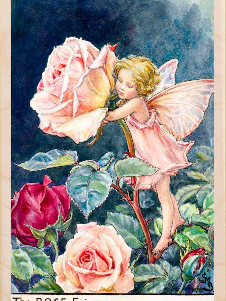Rose Fairy - Cartes et aimants écologiques pour la vente par THE WOODEN POSTCARD COMPANY