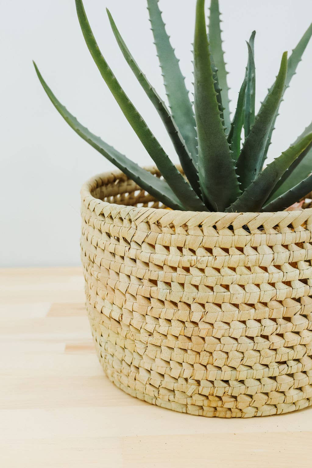 Gitzell FairTrade - Wholesale Plant Pot - Potted Planter, Palm Leaf5