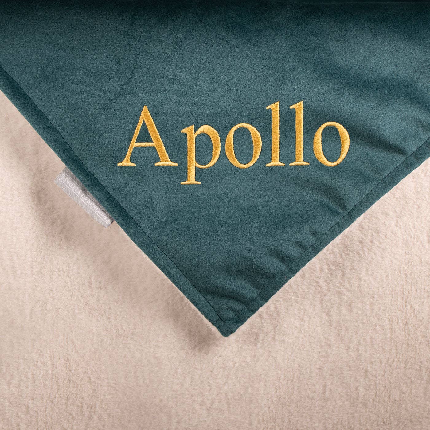 Terciopelo marino Manta de terciopelo marino para perros y cachorros de venta al por mayor en Faire5