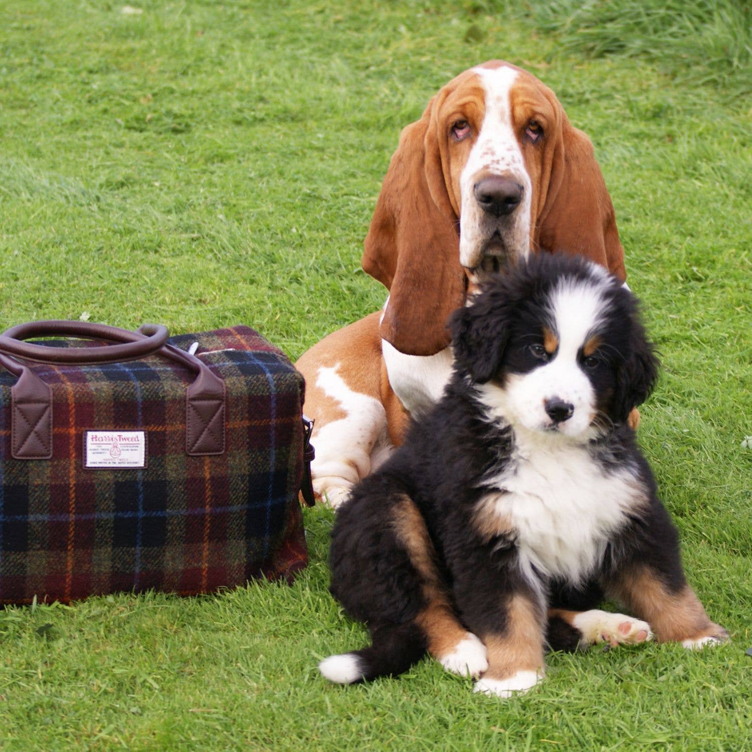 Dublin Gift Company - Vente Sac de voyage – unisexe - Sac de voyage tartan Harris Tweed écossais8