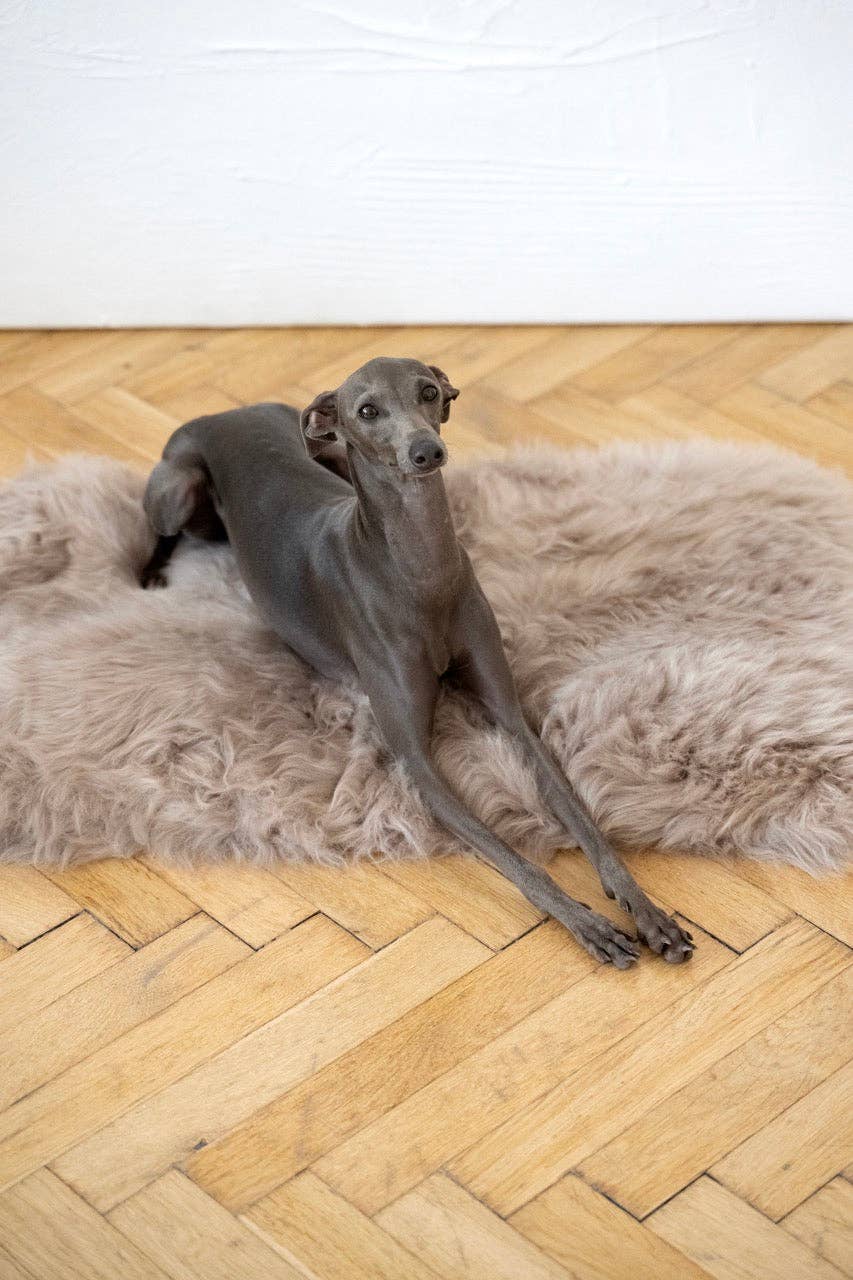 Mellow - Vendita all'ingrosso Tappetino - Cani - Tappeto quadrato o rettangolare in pelle di pecora naturale - Greige0