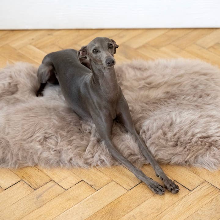 Mellow – wholesale Pet mat – Dog – Square or Rectangular Natural Sheepskin Pet Mat - Greige0