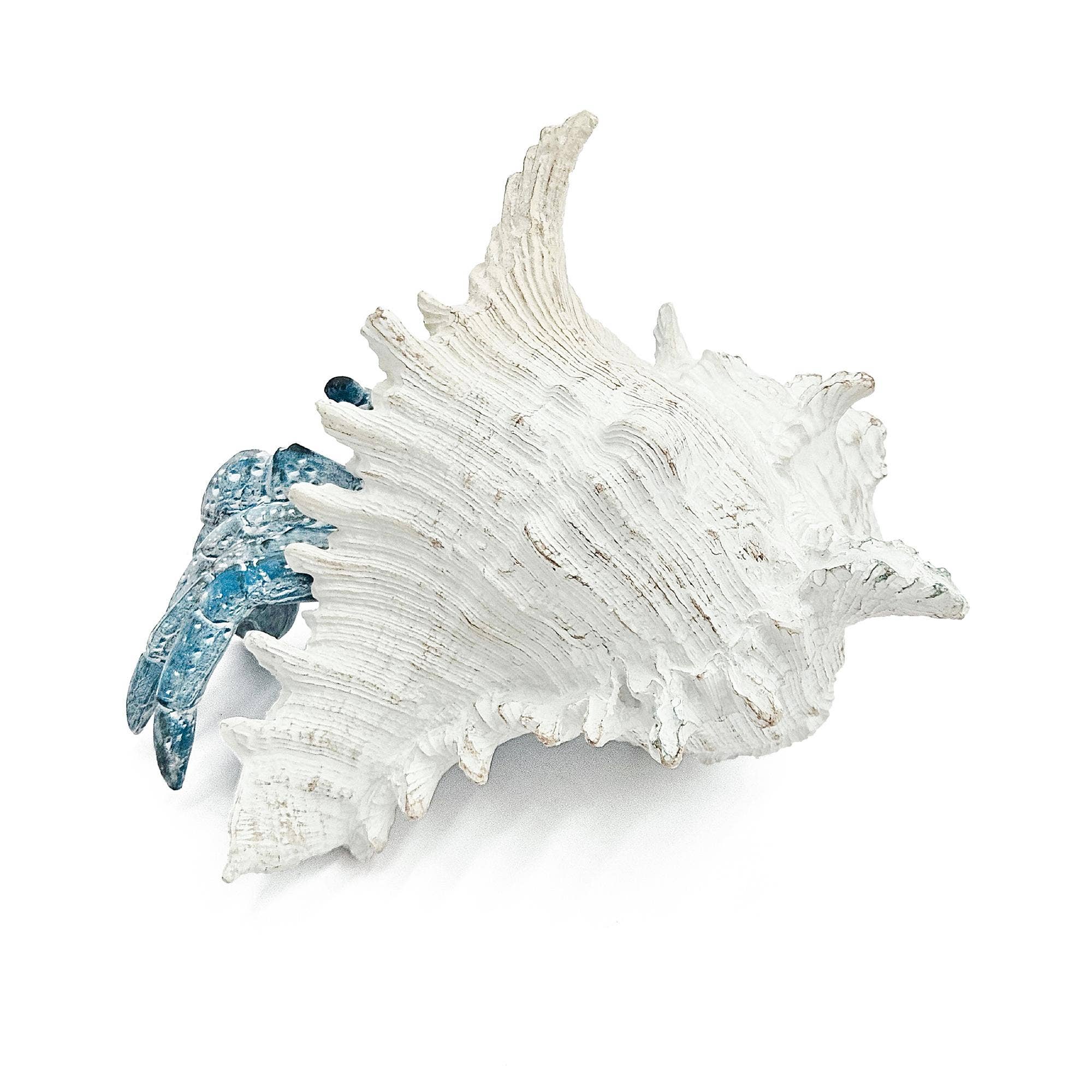 A&B Home Group Inc. - Wholesale Decorative Tabletop Object - 7.3x7x5.7" Lifelike Blue Hermit Crab Figurine w/ White Shell2