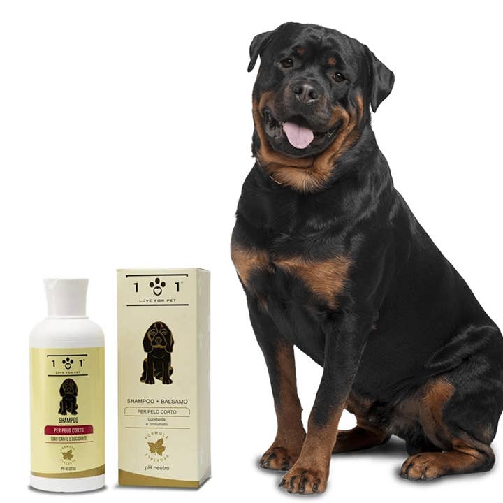 Linea 101 SRL - Wholesale Pet Shampoo - Dog - Shampoo For Short Haired Dogs - 250 Ml1