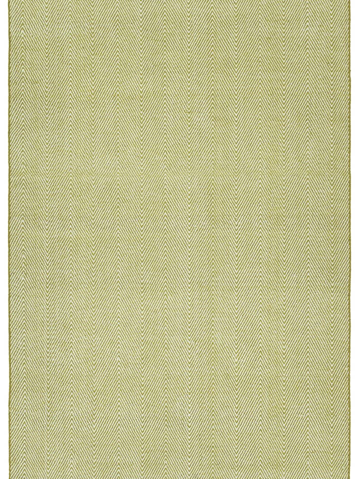 Ziggy Collection Wasabi 5'x7'6" Rectangle Area Rug for wholesale by contempo fashion