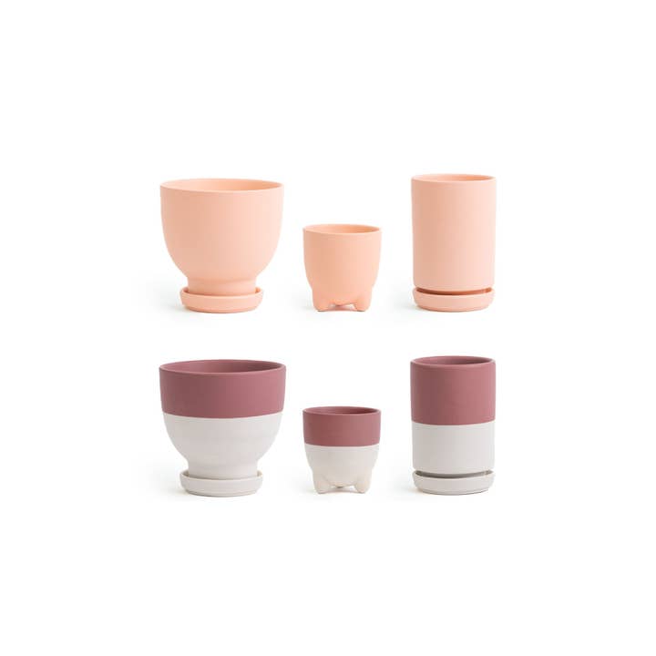 Momma Pots - Wholesale Plant Pot - Two Color Plant Junkie Pack - 16 pc/cspk 2