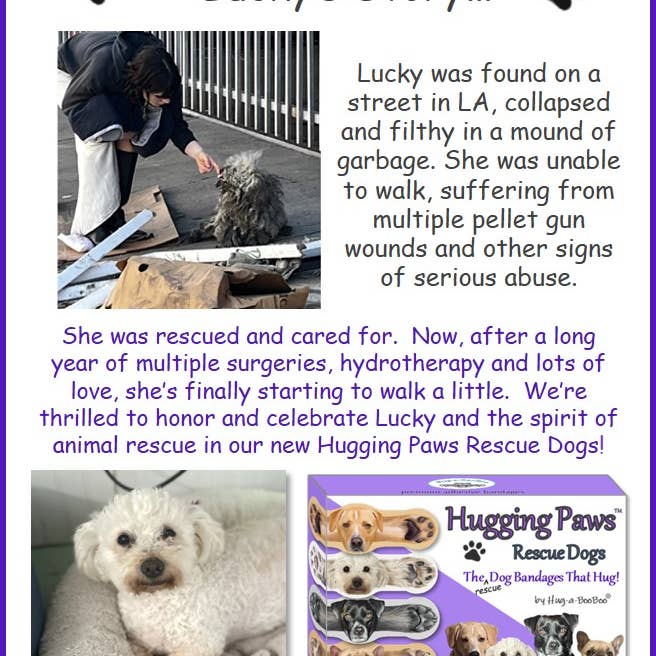 Hug-a-BooBoo - Wholesale Bandaids/Bandages - Hug-a-BooBoo "Hugging Paws Rescue Dogs" Bandages 24ct Box