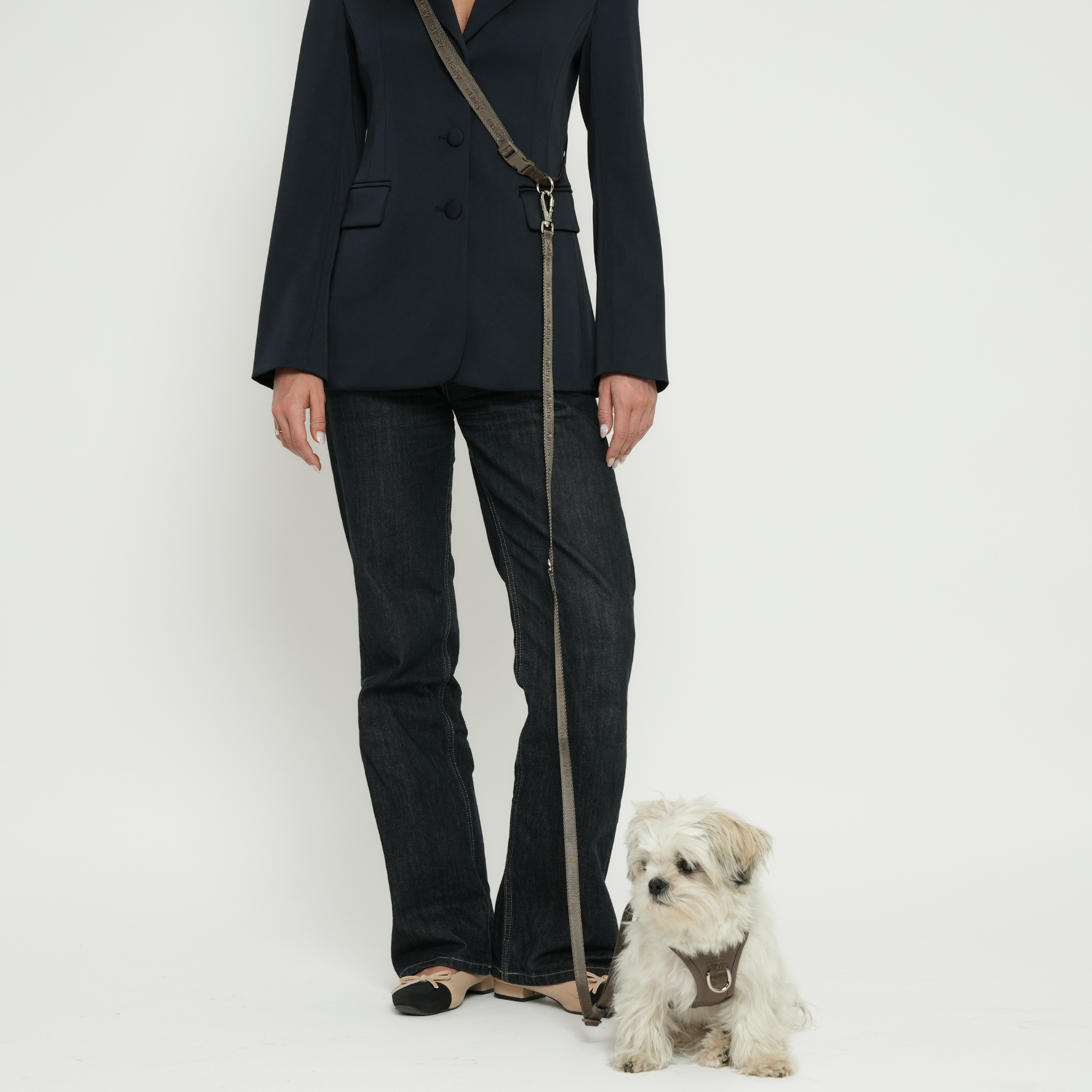 Staey - Wholesale Pet Leash - Dog - Hands-Free Dog Leash – Taupe6