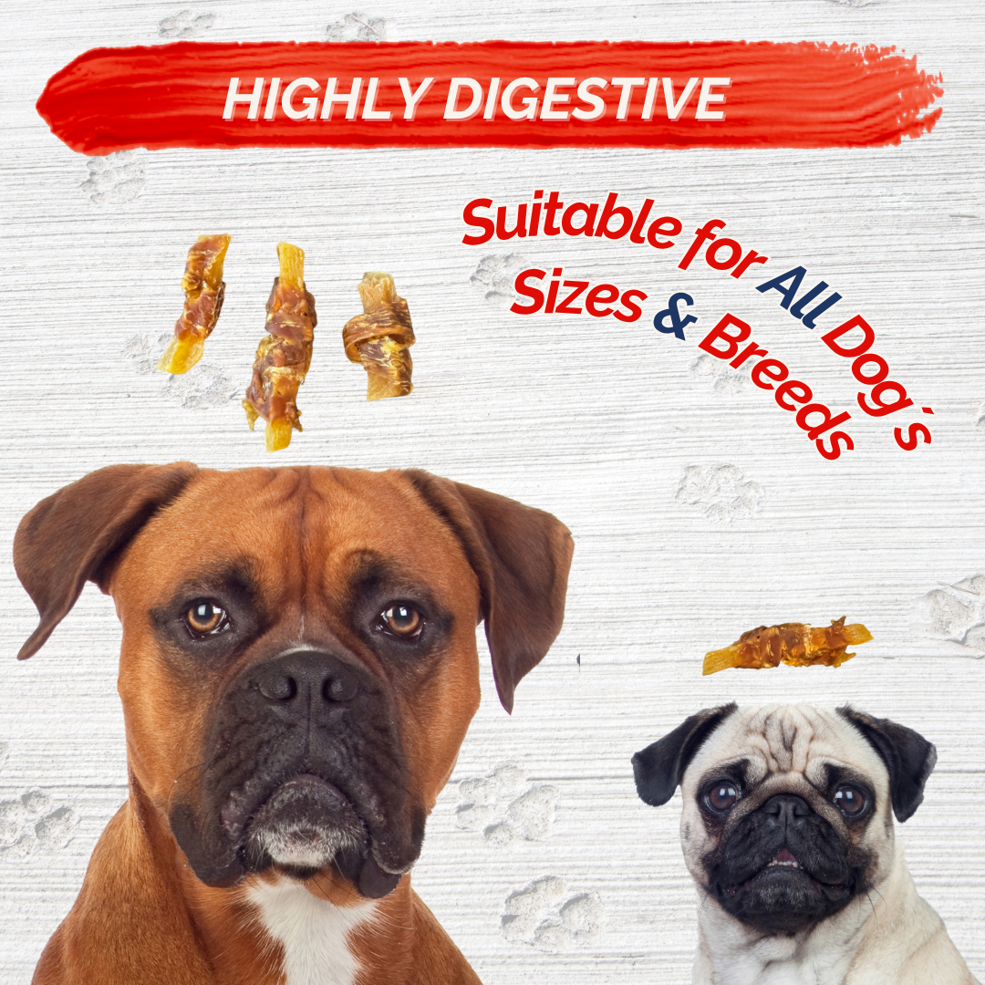 Fresh Farms Pet - Wholesale Pet Treats - Dog - Fresh Farms 2 Pounds Sweet Potato & Chicken Jerky Dog Treats, Rawhide Free5