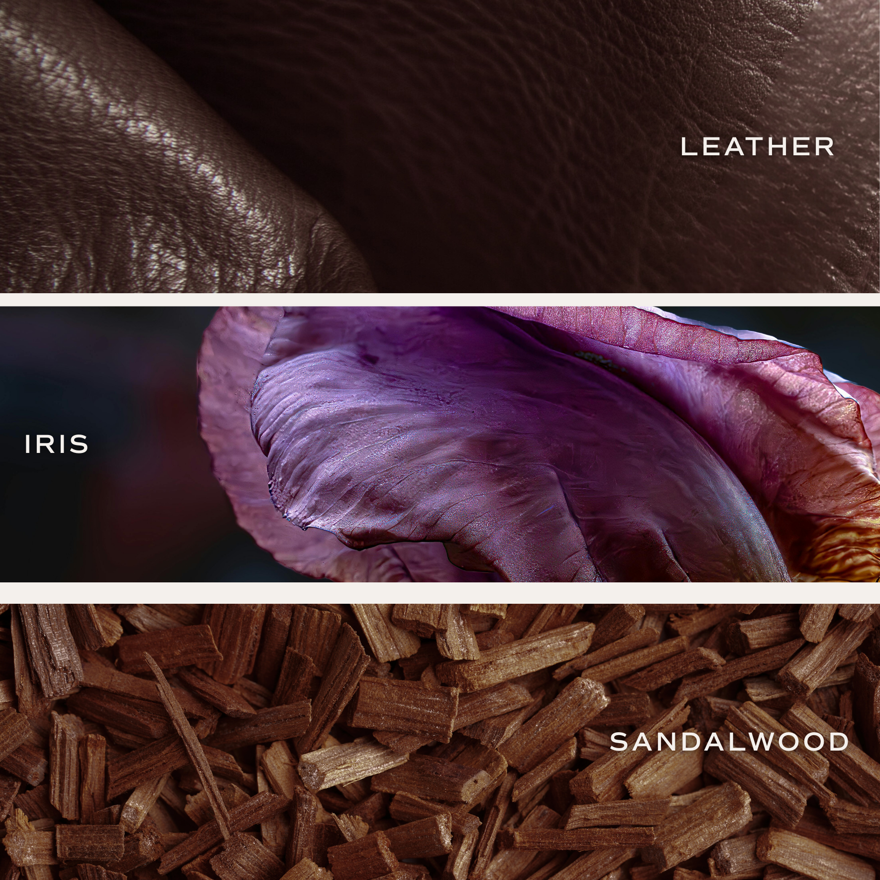 Sweet Water Decor - Wholesale Reed Diffuser - Luxury Getaway Reed Diffuser- Gifts & Home Decor3