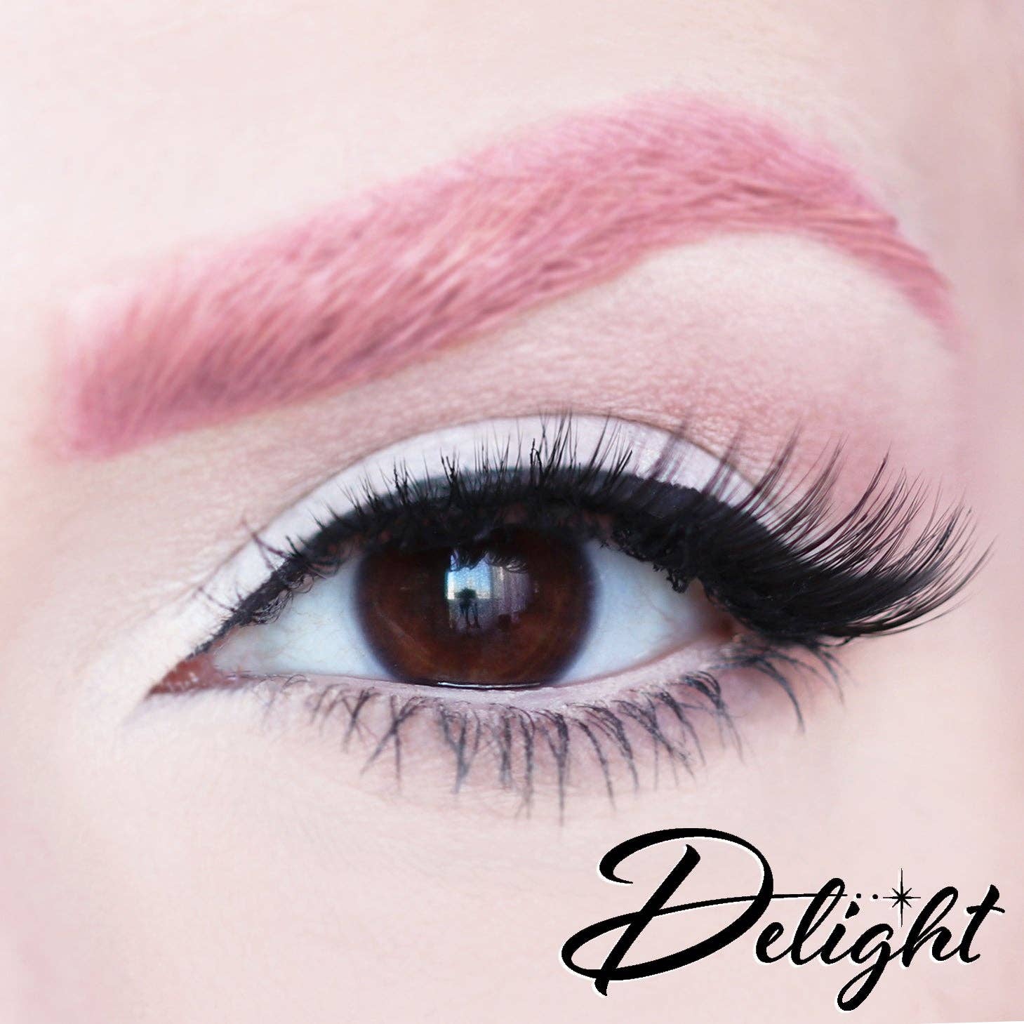 Dafna Beauty – wholesale False/fake eyelashes – D Poodle Collection- Lashes in Compact7