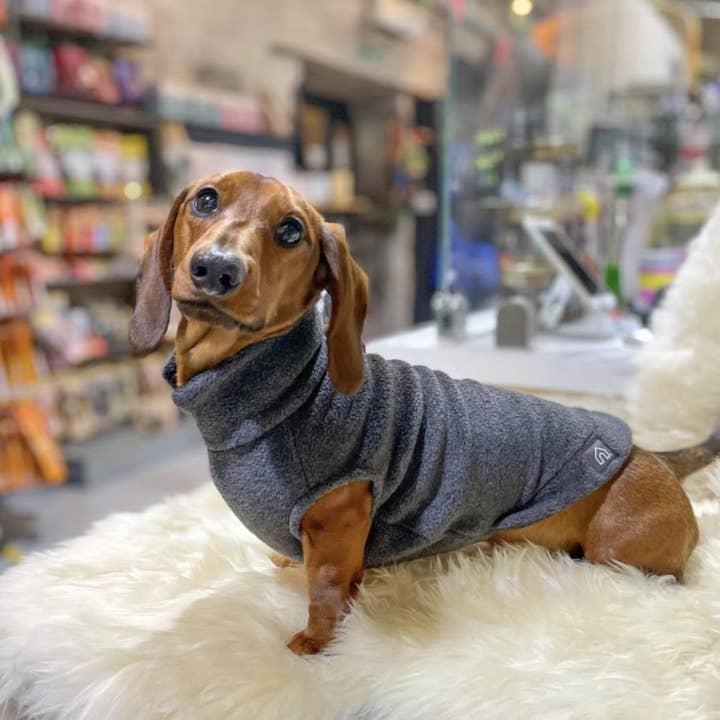 Doghouse – Großhandel Haustier-Pullover – Hund – Fleecepullover mit Dackelmotiv