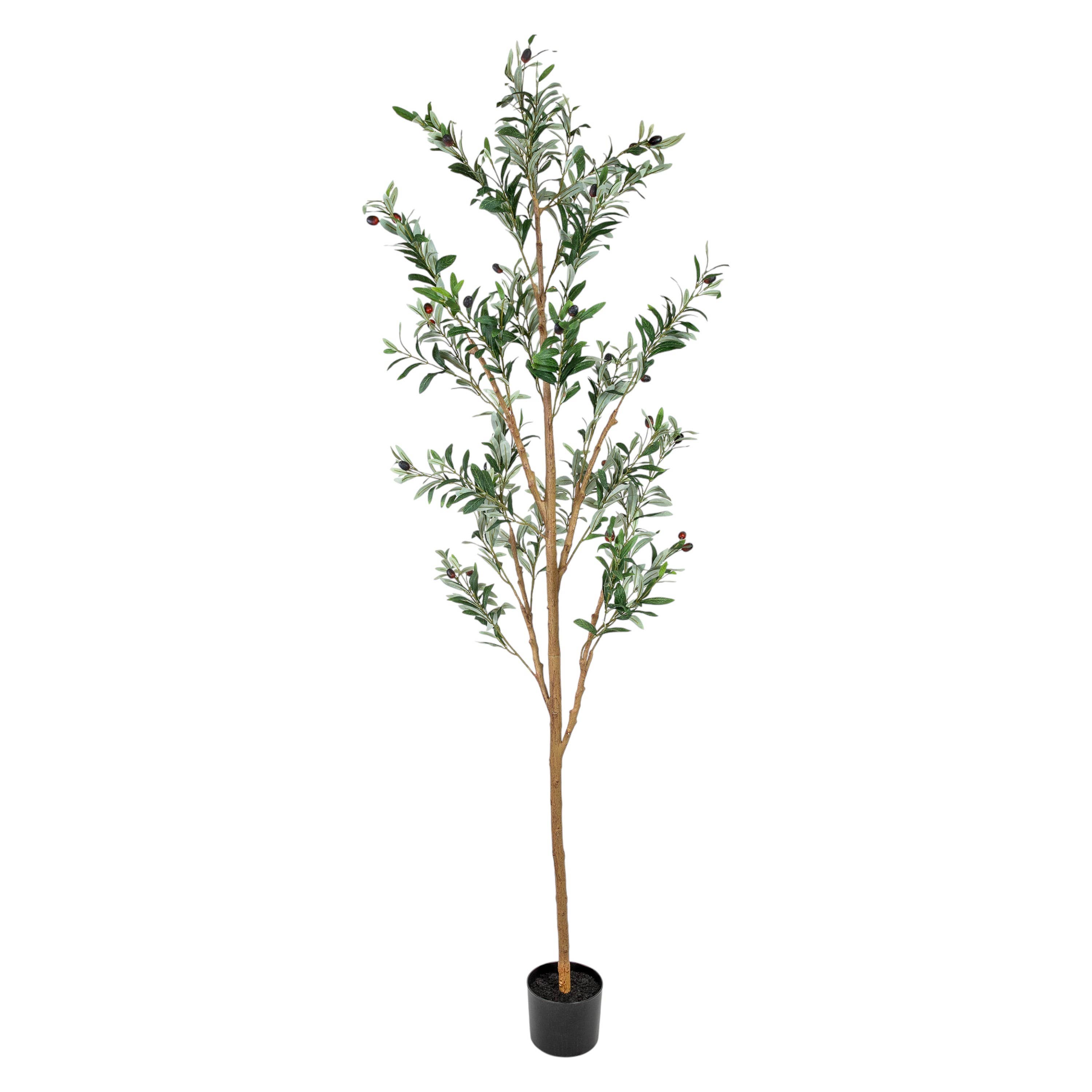 HomeRoots - Wholesale Artificial Plant - Set Of Two 84" Green Artificial Olive Trees in a Black Pot3