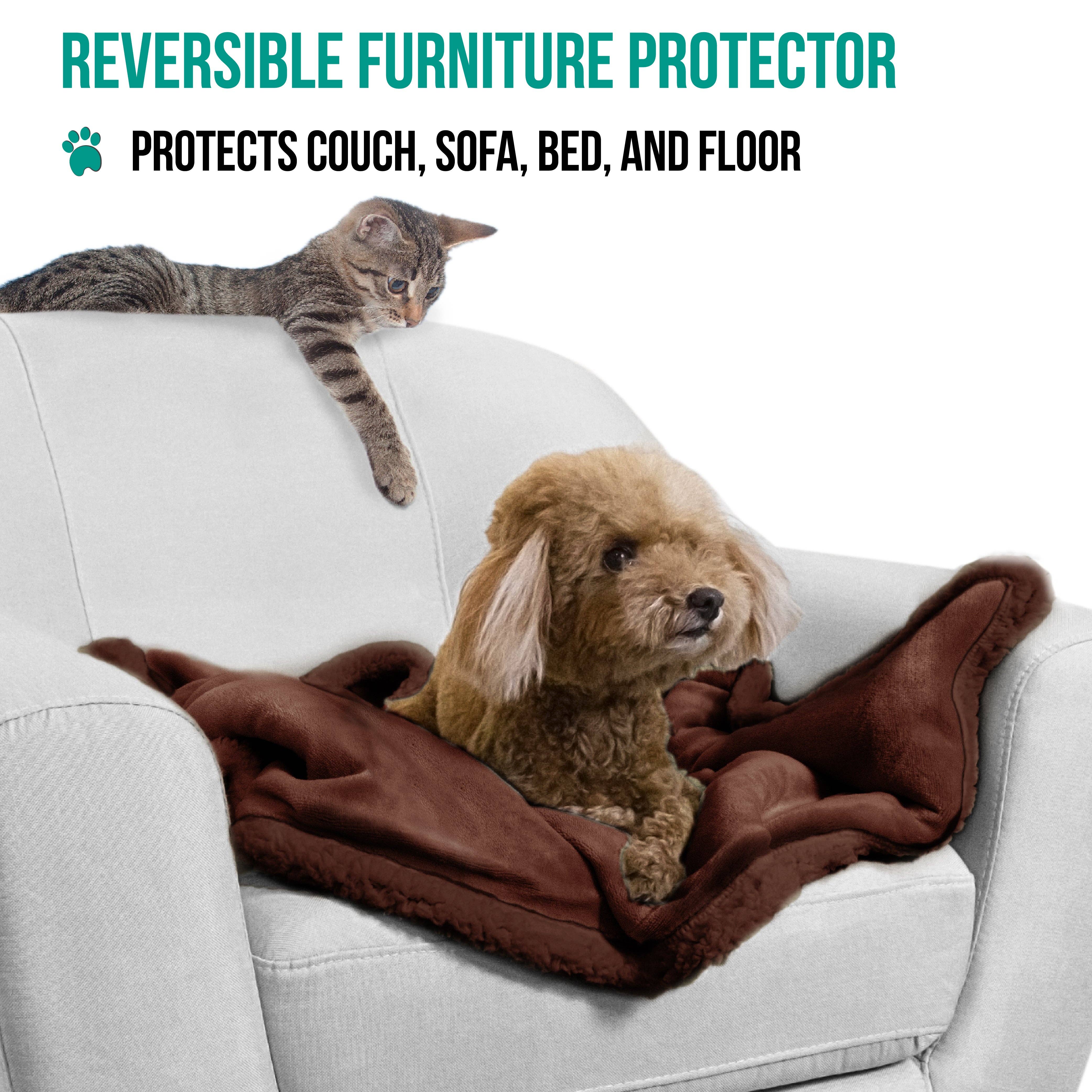 PetAmi - Vente Couverture – chat et chien - Couverture pour animaux en polaire réversible118