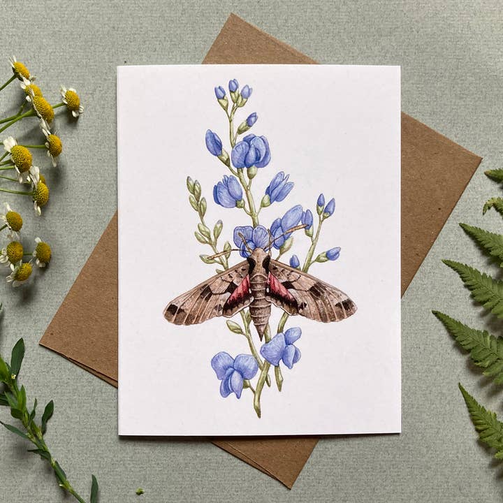 Lucinda Rowe Art - Wholesale Stationery/Notecard Set - Notecard Set - 6 Moths & Wildflowers On Blank Recycled Cards3