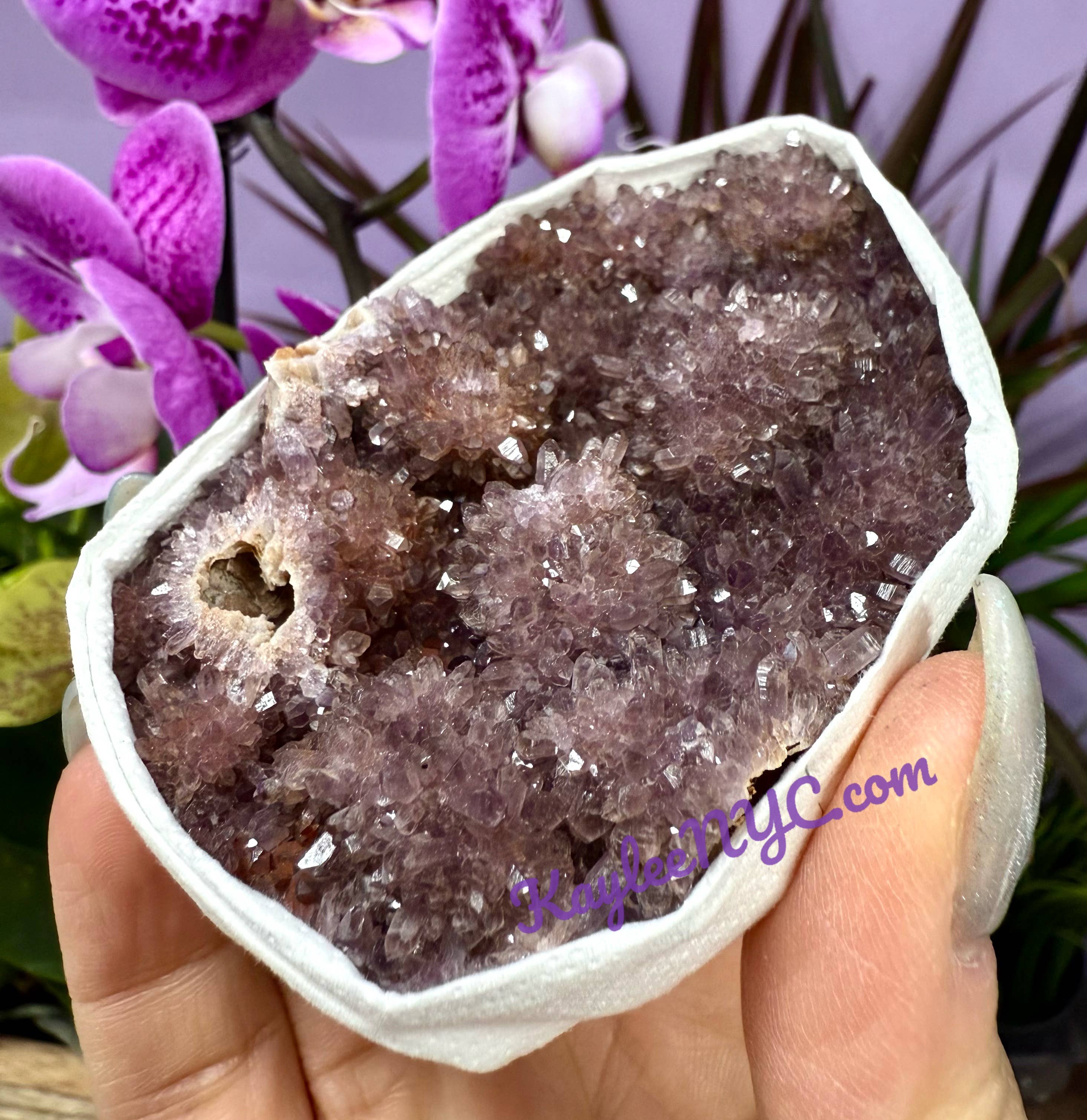 KayleeNYC - Wholesale Spiritual Stone/Crystal - 2 lb Natural Amethyst Cluster from Turkey Raw Crystal12