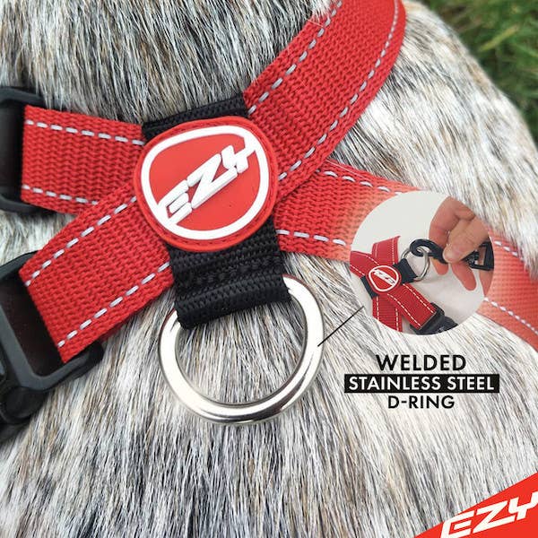 Red Ezydog Chest Plate Harness (Red) for wholesale on Faire