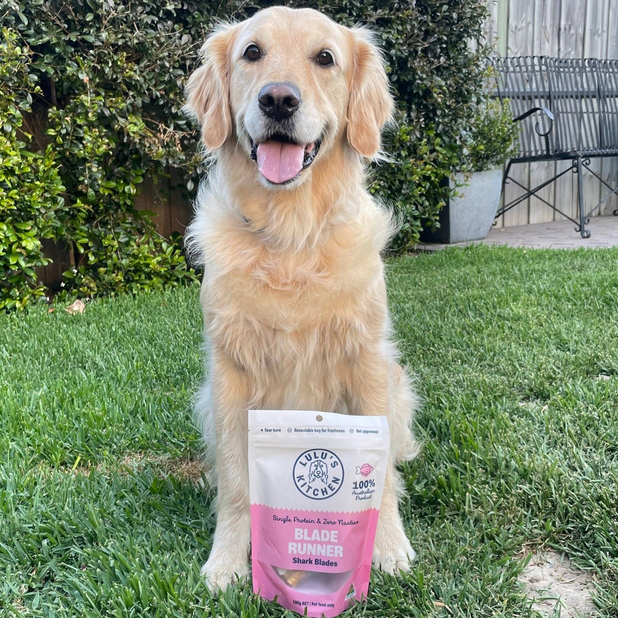 Rover Pet Products - Wholesale Pet Treats - Dog - Blade Runner - Shark Blade1