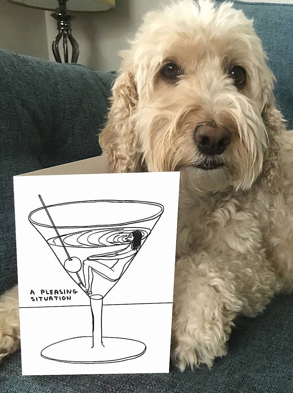 David Shrigley x Brainbox Candy – wholesale Vardagliga hälsningskort – Roligt gratulationskort av David Shrigley - En behaglig situation5