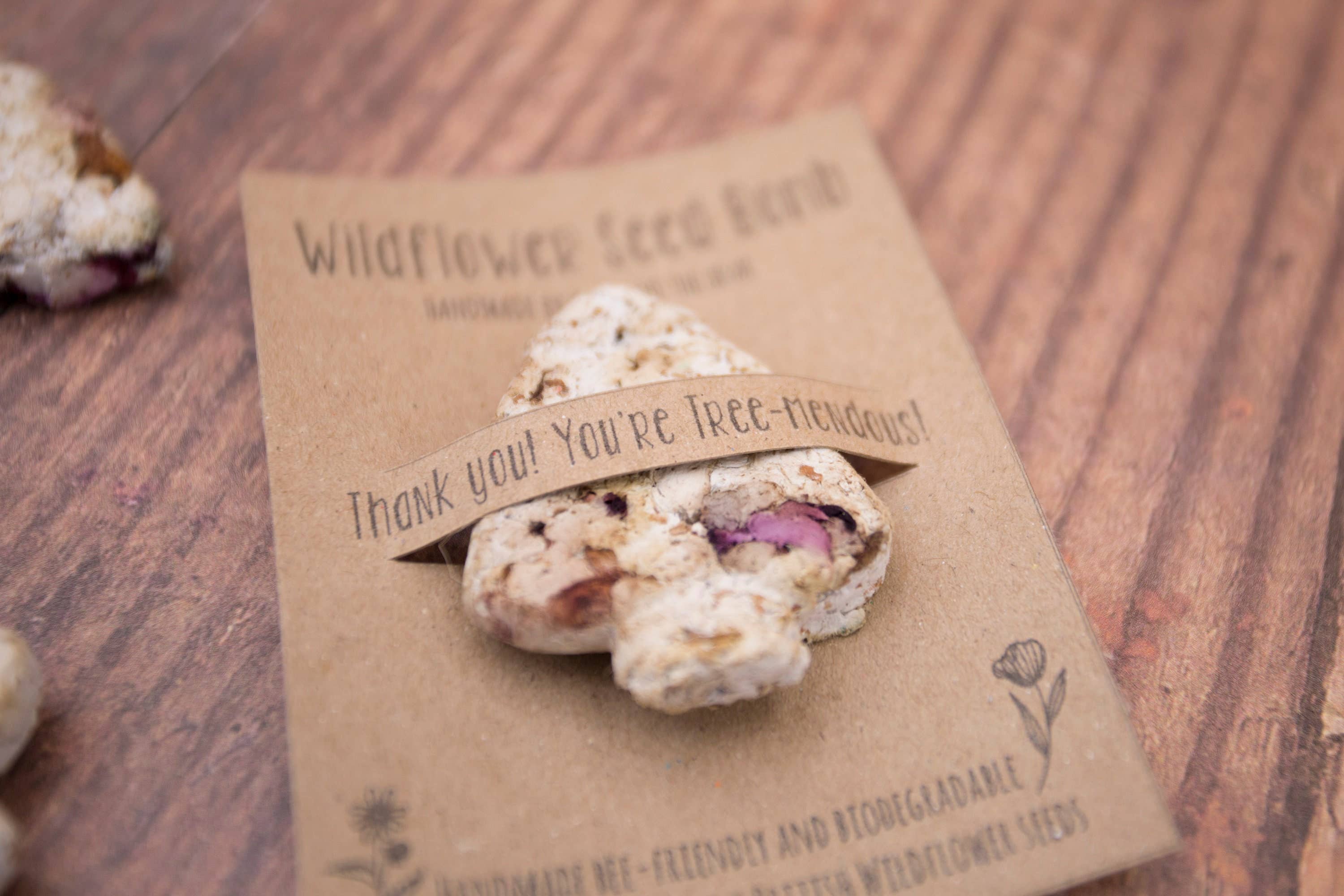 Katy and the Bear – Engroshandel Plantefrø – Tak! Du er Treemendous - Frøbombe med vilde blomster til lærere1