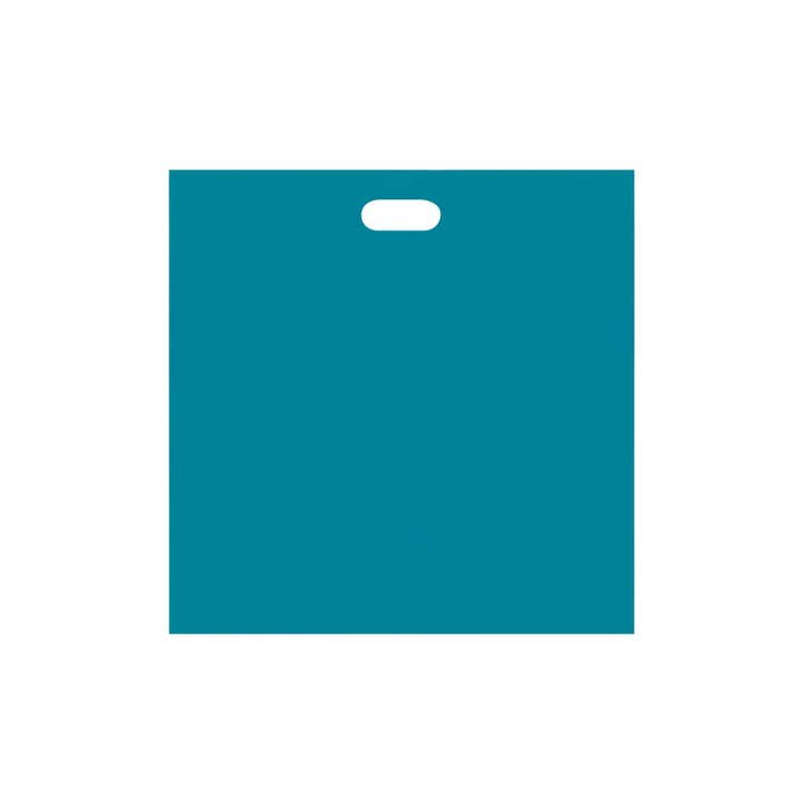 Store Supply Warehouse - Wholesale Gift Bag - Low Density Merchandise Bags19