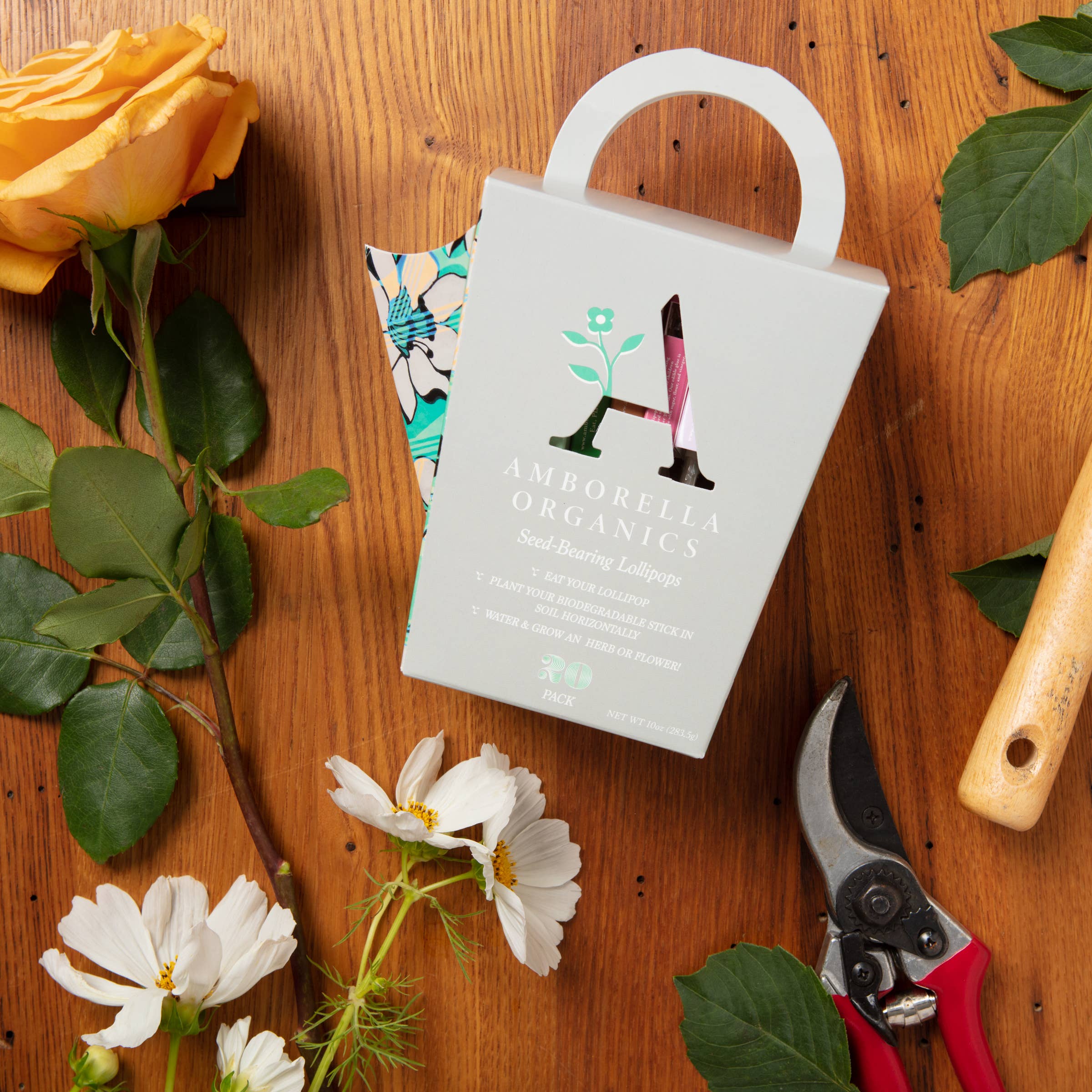 Amborella Organics - Wholesale Lollipop - Watering Can-Dy 20 Pack (Eat, Plant & Grow a Herb/Flower)9